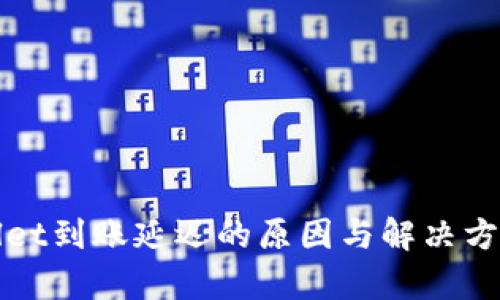 tpWallet到账延迟的原因与解决方案详解