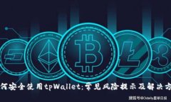 如何安全使用tpWallet：常见风险提示及解决方案