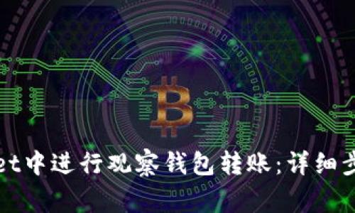 如何在tpWallet中进行观察钱包转账：详细步骤与注意事项