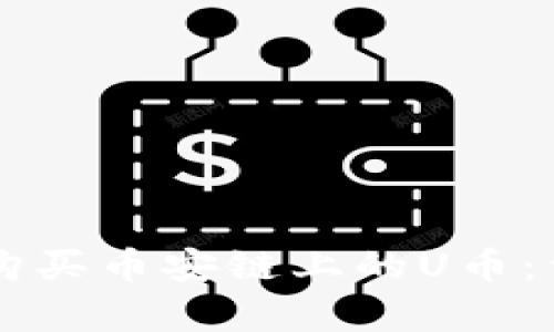 如何在tpWallet中购买币安链上的U币：详细操作指南与技巧