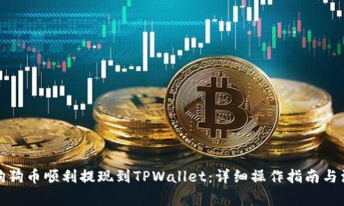 如何将狗狗币顺利提现到TPWallet：详细操作指南与注意事项