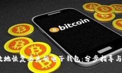 如何快速、有效地恢复丢失的电子钱包：分步指