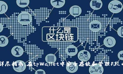 详尽指南：在tpWallet中安全存放和管理FIL币