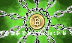 如何安全存储和管理tpWallet私钥：全面指南