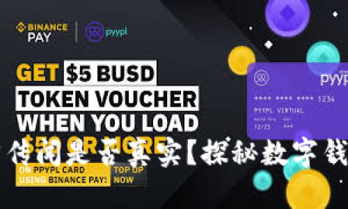 TPWallet的收回传闻是否真实？探秘数字钱包的安全与风险