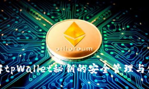 全面了解tpWallet秘钥的安全管理与使用技巧