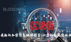 美国地区最有趣的加密钱包地址推荐：从虚拟到