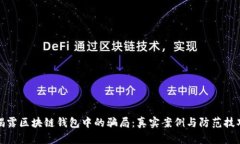 揭露区块链钱包中的骗局：真实案例与防范技巧