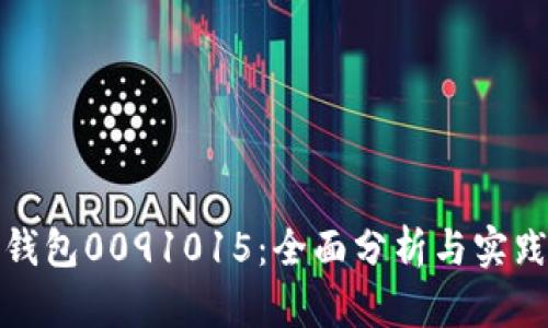 数字钱包0091015：全面分析与实践指南