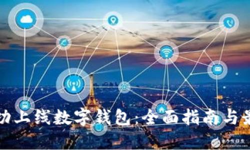 如何成功上线数字钱包：全面指南与最佳实践