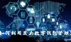 探索数字金融：如何利用巨大数字钱包管理您的