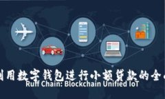 如何利用数字钱包进行小额贷款的全面指南