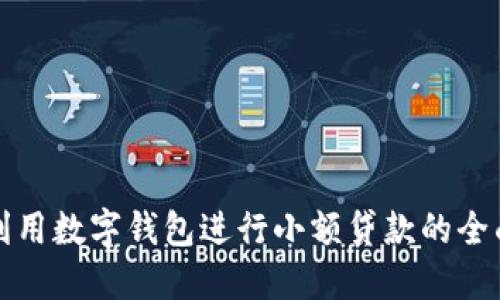如何利用数字钱包进行小额贷款的全面指南