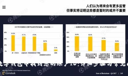 如何在数字钱包中找到您的账户ID：详细步骤与常见问题解析