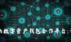 如何选择最适合您的数字资产钱包合作平台：详