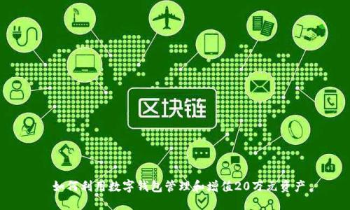  如何利用数字钱包管理和增值20万元资产