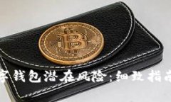 如何识别数字钱包潜在风险：细致指南及预警信