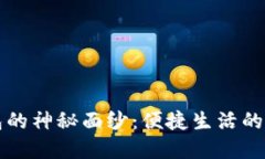 揭开苏州数字钱包的神秘面纱：便捷生活的新选