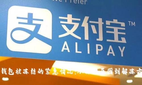 如何应对加密币钱包被冻结的紧急情况：从冻结原因到解冻方案的全方位指南