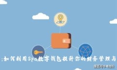 深度解析：如何利用Spa数字钱包提升你的财务管