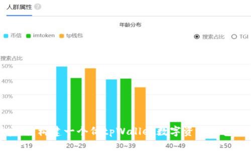 从基础到实践：构建一个仿tpWallet数字资产钱包的完整指南