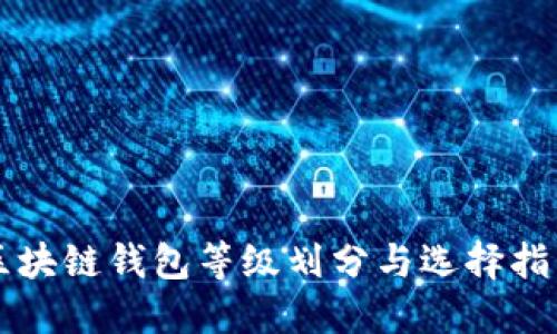 区块链钱包等级划分与选择指南