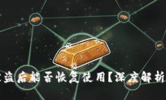 和关键词tpWallet被盗后能否恢复使用？深度解析与