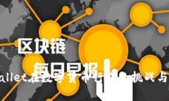 tpWallet在数字货币行业的挑战与机遇