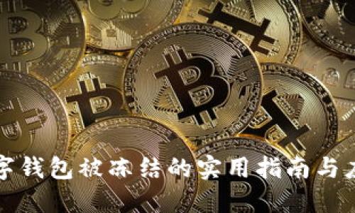 解决数字钱包被冻结的实用指南与应对策略
