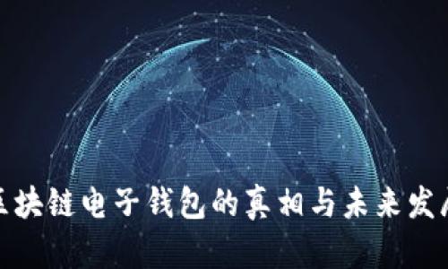 揭秘区块链电子钱包的真相与未来发展趋势