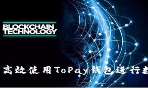 详细指南：如何高效使用ToPay钱包进行数字支付与管理