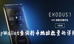 使用tpWallet查询持币地址数量的详细指南