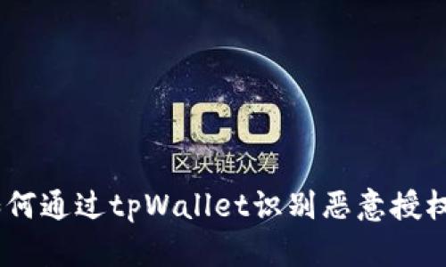 全面解析：如何通过tpWallet识别恶意授权及防范措施