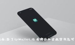全面指南：除了tpWallet，还有哪些加密数字钱包可