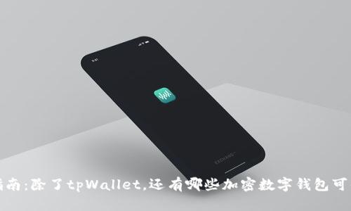 全面指南：除了tpWallet，还有哪些加密数字钱包可供选择
