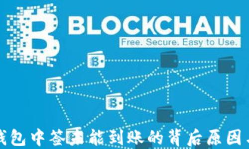 
解密数字钱包中签未能到账的背后原因与解决方案