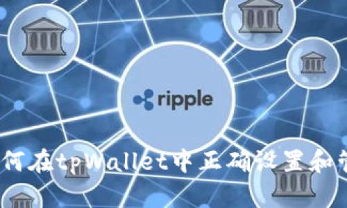 全面指南：如何在tpWallet中正确设置和管理您的资产