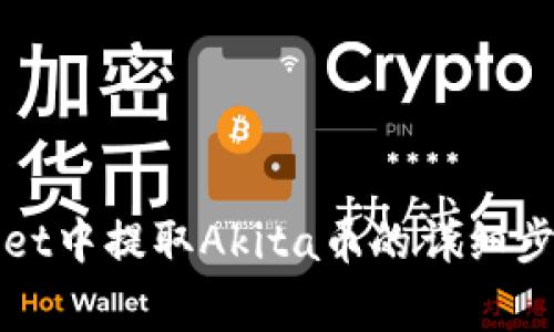 如何在tpWallet中提取Akita币的详细步骤与注意事项