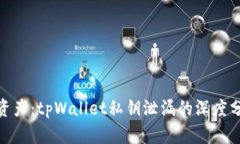 保护你的数字资产：tpWallet私钥泄漏的深度分析与