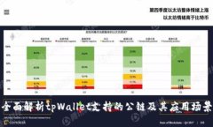 全面解析tpWallet支持的公链及其应用场景