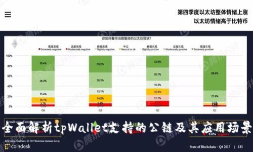 全面解析tpWallet支持的公链及其应用场景