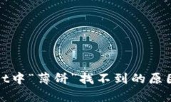 探索tpWallet中“薄饼”找不到的原因及解决方案