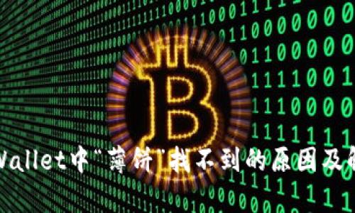 探索tpWallet中“薄饼”找不到的原因及解决方案