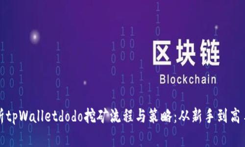 全面解析tpWalletdodo挖矿流程与策略：从新手到高手的指南