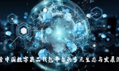 探索中国数字藏品钱包平台的多元生态与发展潜