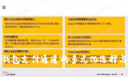 探索数字钱包支付通道的多元化选择与未来发展