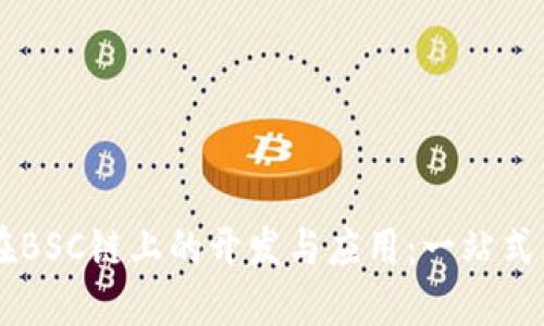 深入探索TPWallet在BSC链上的开发与应用：一站式区块链钱包解决方案