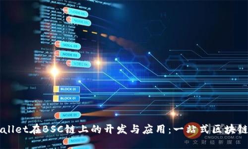 深入探索TPWallet在BSC链上的开发与应用：一站式区块链钱包解决方案