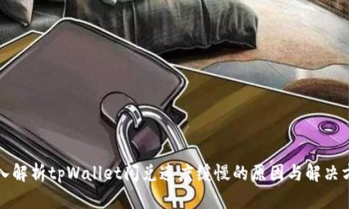 深入解析tpWallet闪兑速度缓慢的原因与解决方案