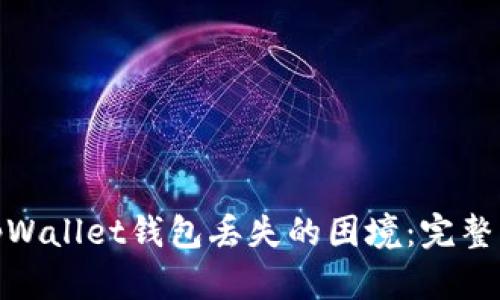 如何有效应对tpWallet钱包丢失的困境：完整指南和应急措施